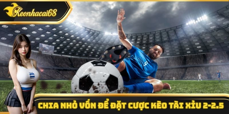Chia nhỏ vốn để đặt cược k&egrave;o t&agrave;i xỉu 2-2.5