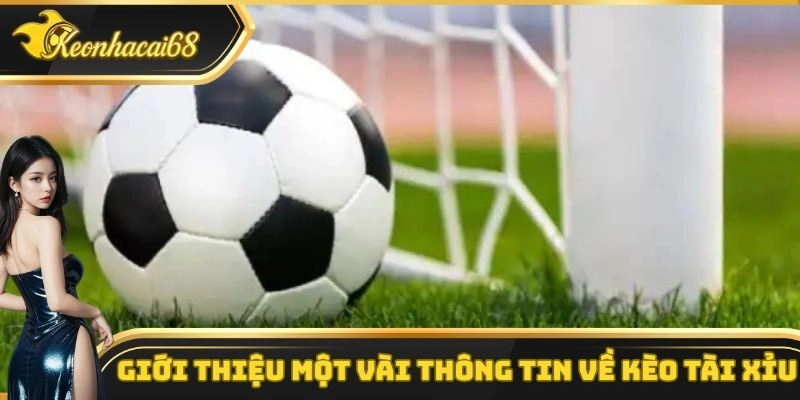 Một v&agrave;i th&ocirc;ng tin cơ bản cần nắm vững k&egrave;o t&agrave;i xỉu trong b&oacute;ng đ&aacute;