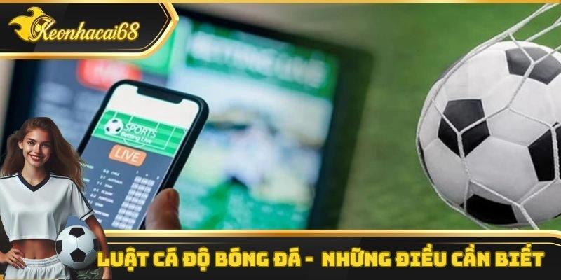 Luật C&aacute; Độ B&oacute;ng Đ&aacute;