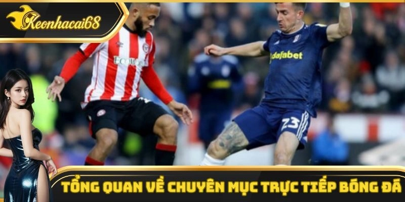 Tổng quan một v&agrave;i điều cơ bản về chuy&ecirc;n mục trực tiếp b&oacute;ng đ&aacute;